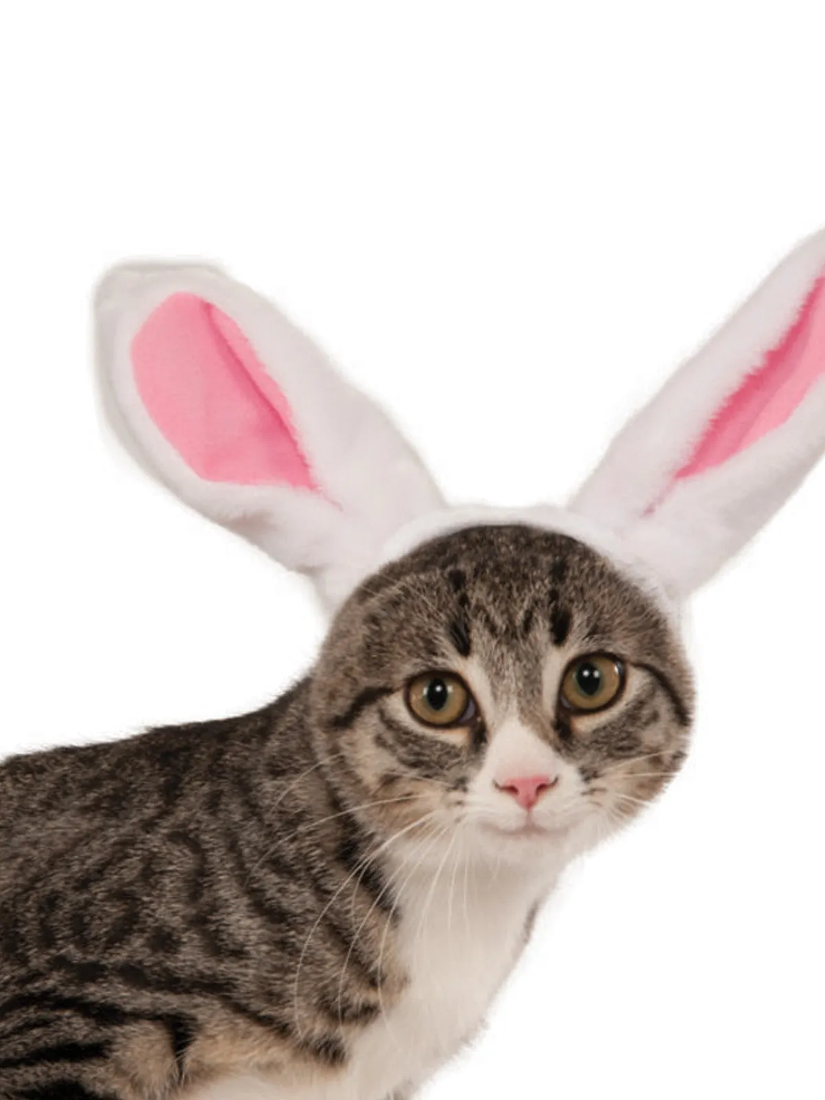 Bunny Ears Pet Headband Accessory