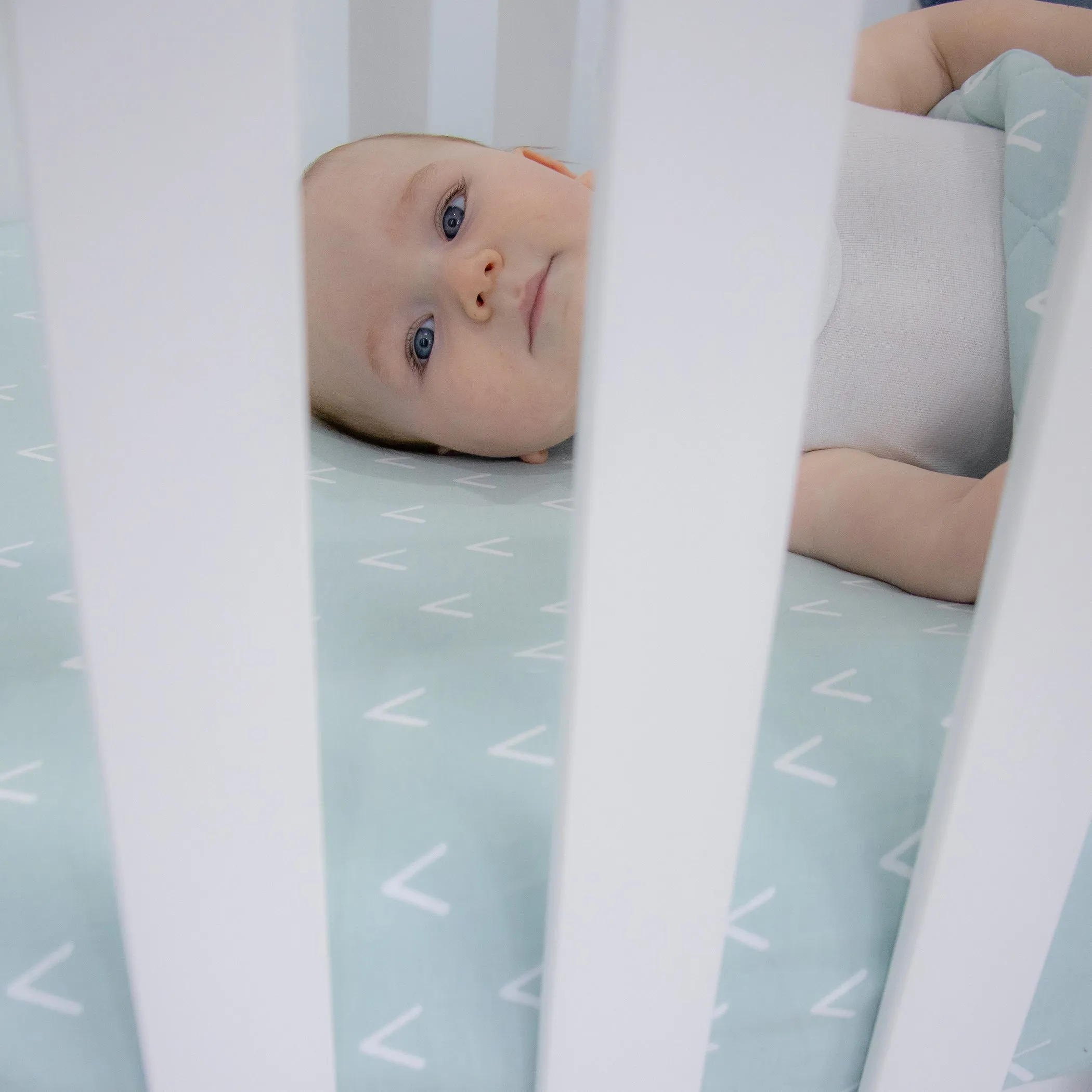 Nordic 2pk Jersey Cot Fitted Sheets Dusty Sky/Mint